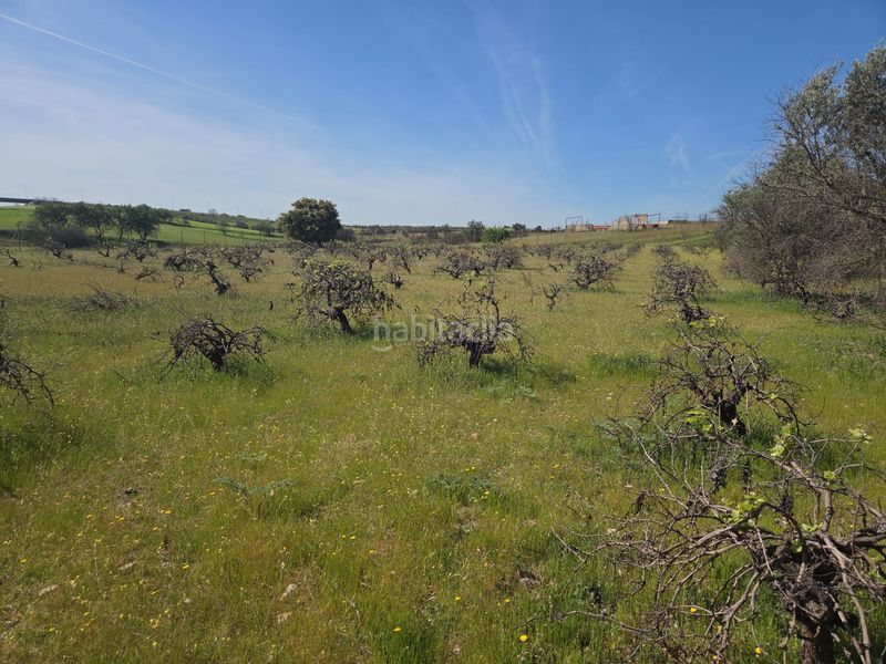 Foto 43ffd019-f26c-4455-bf11-8f74c7696d02. Masia a Urb. Calypo Navalcarnero