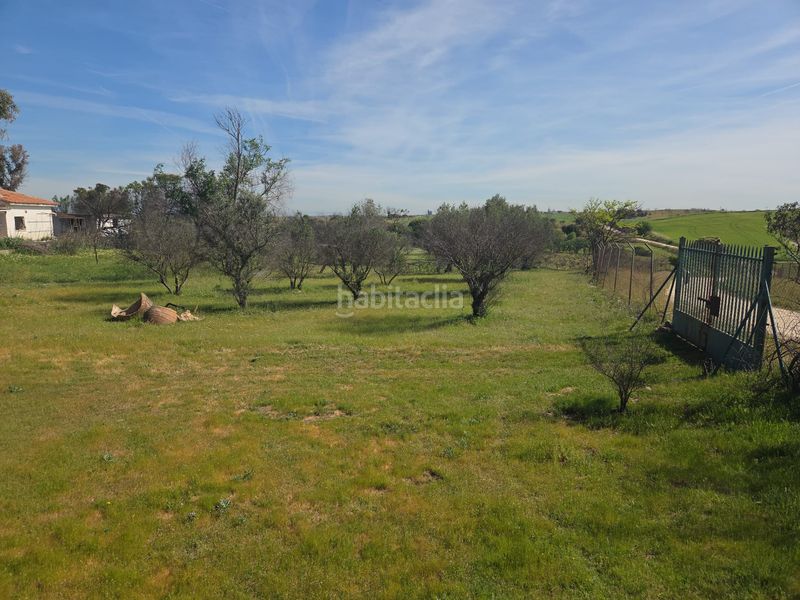 Foto 4926b291-9c39-4b7e-8cd5-e18185cd196a. Masia a Urb. Calypo Navalcarnero