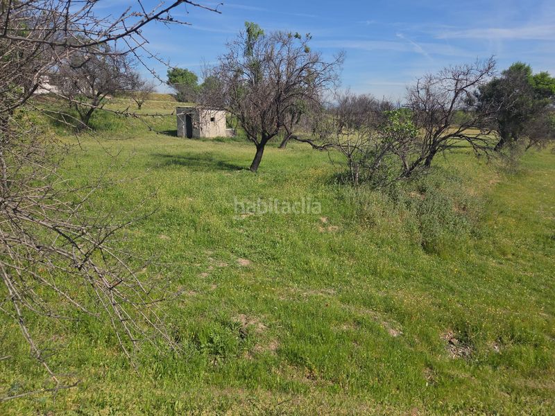 Foto 5c372445-594c-4cca-9705-6a5f987831f2. Masia a Urb. Calypo Navalcarnero