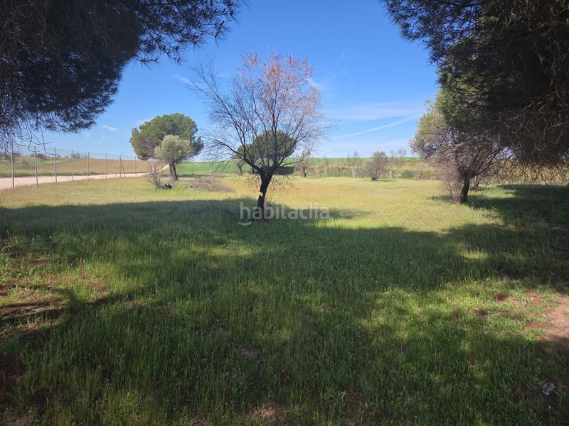 Foto 6fc77063-7967-4a55-b4b2-a961dff427d5. Masia a Urb. Calypo Navalcarnero