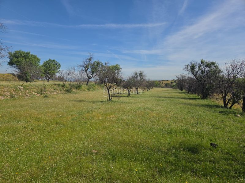 Foto 86b56d37-a5aa-4841-9a2a-87af657312bc. Masia a Urb. Calypo Navalcarnero