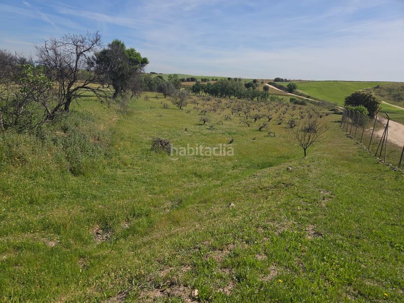 Foto 8dab8860-38a3-4c62-ad07-d1bd6fd9b22a. Masia a Urb. Calypo Navalcarnero