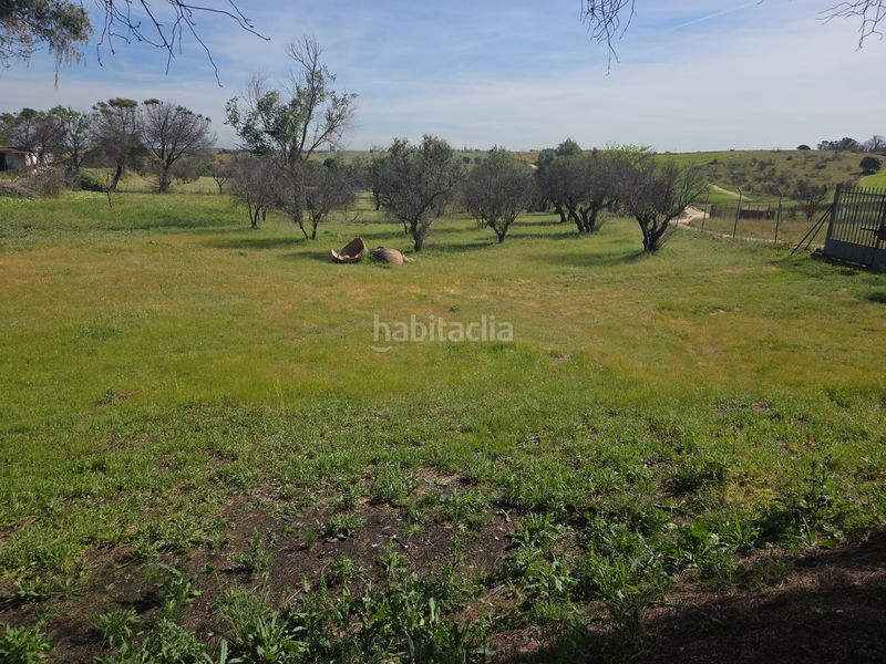 Foto 8dc6cd89-8a31-46ee-ade8-3e4edc33687d. Masia a Urb. Calypo Navalcarnero