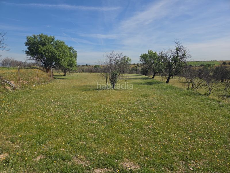 Foto ae8ef0c5-2e91-4981-8487-fe649e6b4d13. Masia a Urb. Calypo Navalcarnero