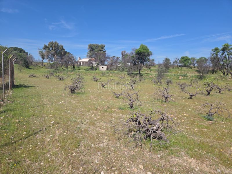 Foto b6017c7a-592f-423e-8e37-80fe5eafdf43. Masia a Urb. Calypo Navalcarnero