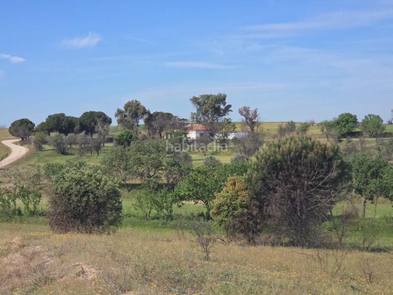 Foto da9e4278-55b4-441d-92c8-815bcc68bea8. Masia a Urb. Calypo Navalcarnero