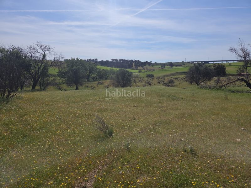 Foto e8c398eb-e4b6-4cf2-94a2-cab3bed46b4c. Masia a Urb. Calypo Navalcarnero