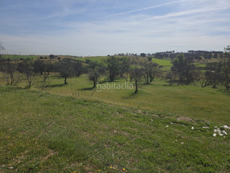 Foto f002af9a-3101-4f2e-a89a-80fcdb834f96. Masia a Urb. Calypo Navalcarnero