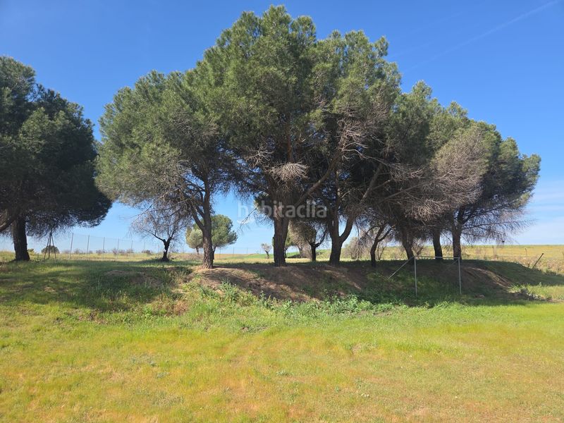 Foto f2fe097b-9c23-4db8-91d1-80862a472c9d. Masia a Urb. Calypo Navalcarnero