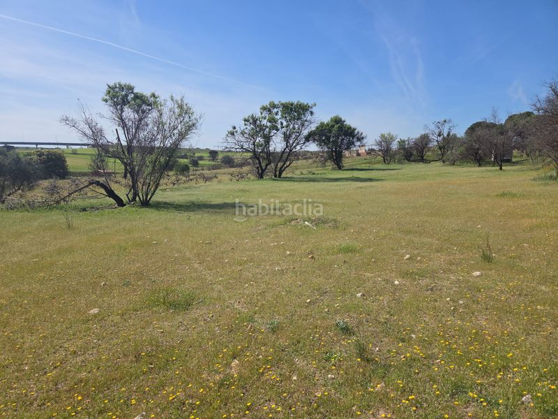 Foto f4d42ee9-2f08-44f5-9cf5-a91464196dbe. Masia a Urb. Calypo Navalcarnero