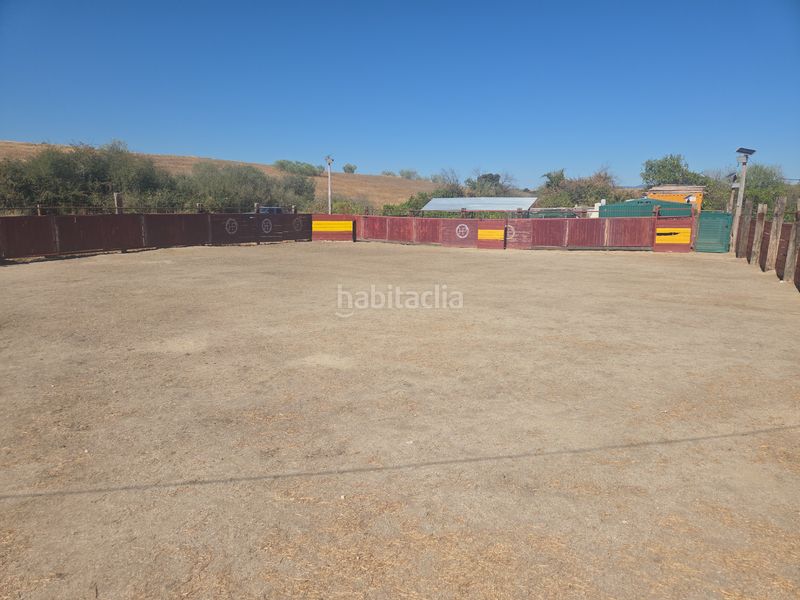 Foto a0625e04-e3fa-4578-a1a0-636619e6b692. Landgut in El Pijorro Navalcarnero