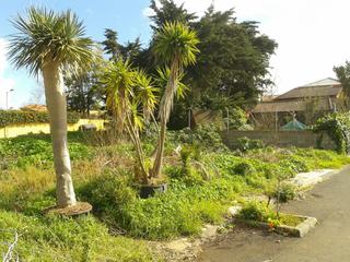 Residential Plot  Fresno. Terreno c fresno, guamasa, santa cruz de tenerife
