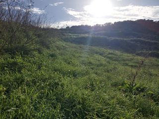 Landgut in Gonzalianez