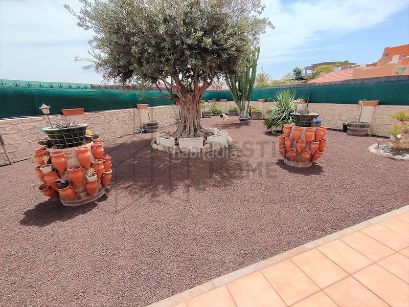 Foto 5fc6b760-fbb4-488a-993d-e9c46892a19f. Xalet amb piscina a Corralejo Oliva (La)