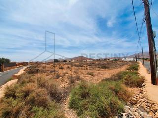 Terreno residencial  Miguel velázques cabrera. Parcela en tiscamanita