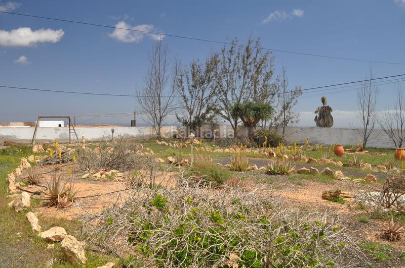 Foto 0b43f15f-eb2f-42f9-a838-dba39106666d. Casa en los estancos 22 amplia finca rústica en venta en los estancos en Puerto del Rosario