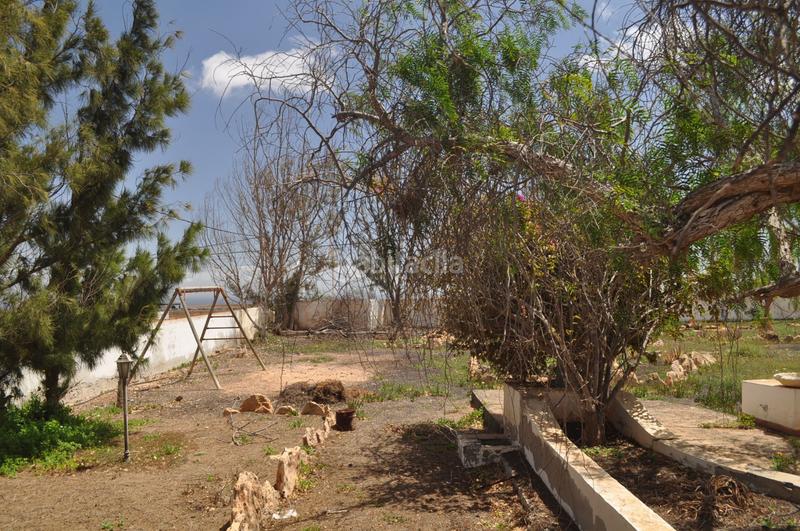 Foto 7567bd91-6b8e-4658-b0e7-cc094d408777. Casa en los estancos 22 amplia finca rústica en venta en los estancos en Puerto del Rosario
