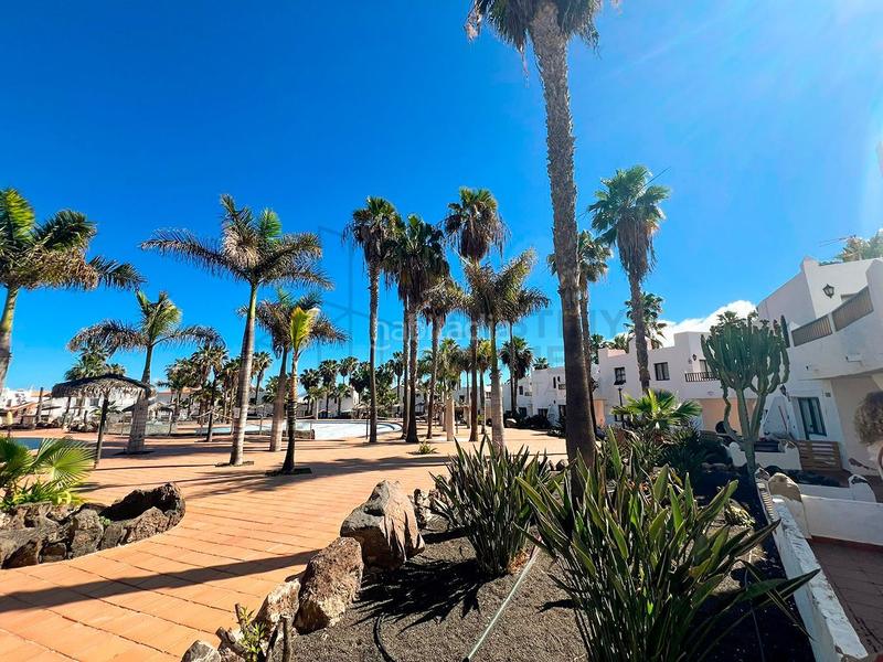 Foto cc3fc6b3-1dfc-40c6-a093-b6d84733b0d6. Appartement dans Corralejo Oliva (La)