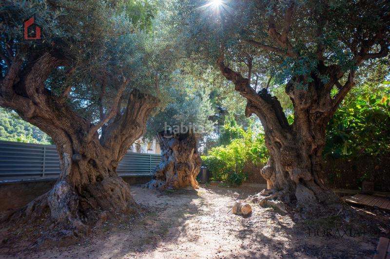 Foto d17122b9-28b5-4e5f-944a-6f8f50f10f27. Location maison jumelée dans carrer maria cristina güell 3 dans Sitges