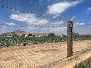 Terreny residencial a Pedanías Oeste. Venta de parcela en aspe alicante