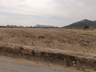 Finca rústica a Tomelloso. Venta de parcela en la romana alicante