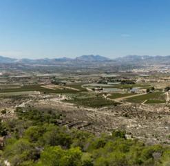 Chalet à Novelda. Venta de chalet en novelda  alicante