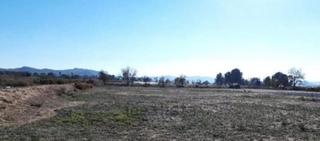 Finca rústica a Pedanías Este. Venta de parcela en carretera monforte del cid