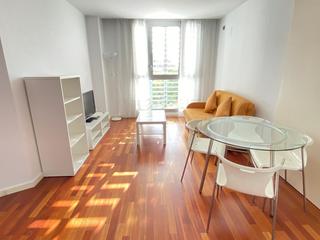 Location Appartement  Calle del doctor aiguader