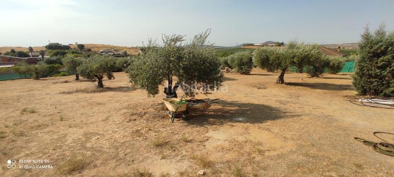 Foto 294bc1f0-7412-4854-adf5-a77285953831. Casale con parcheggio in Sur Mérida