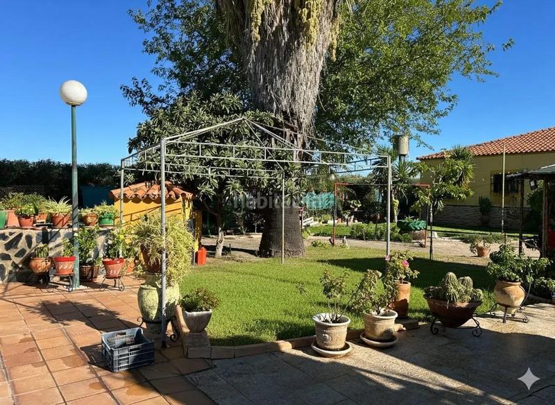 Foto a5c1ee03-a8f6-4814-9156-03978cd1653c. Chalet mit pool in Centro Mérida