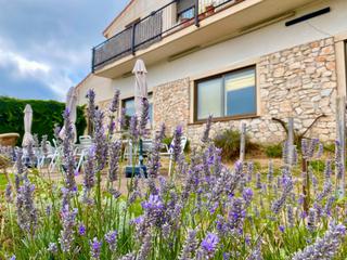 Chalet in Mont-ral