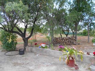 Xalet a Carretera de Córdoba - Libertad. Ref.2288 chalet+ terreno