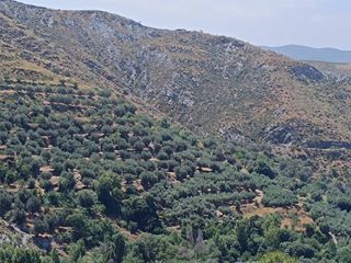 Fondo rustico in Nevada. Finca en picena zona el barrio