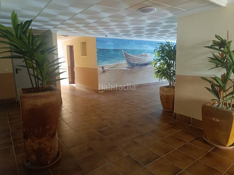 Foto 7ea2941f-e807-4227-ab40-ef038008c843. Pis a calle glaucio 5 a Almerimar Ejido (El)