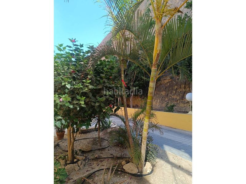Foto ad8c13e9-9a07-407b-9ab7-18af6808ed33. Piso venta dúplex en Almerimar en Almerimar Ejido (El)