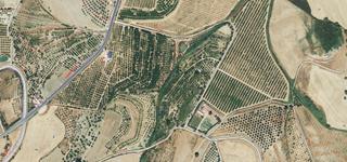 Finca rústica a Camino de gibralgalia 8. Finca de 23.529m² situada en pizarra – cm129c