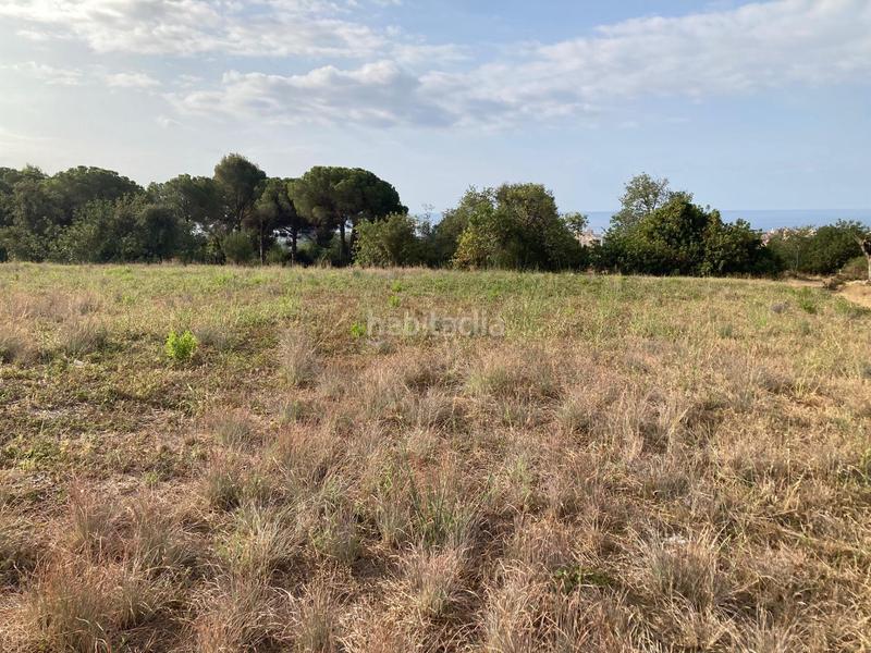 Foto aedc9003-bbc9-4001-8dca-f3fa229812c3. Landgut in Can Carreras - Montessol Pineda de Mar