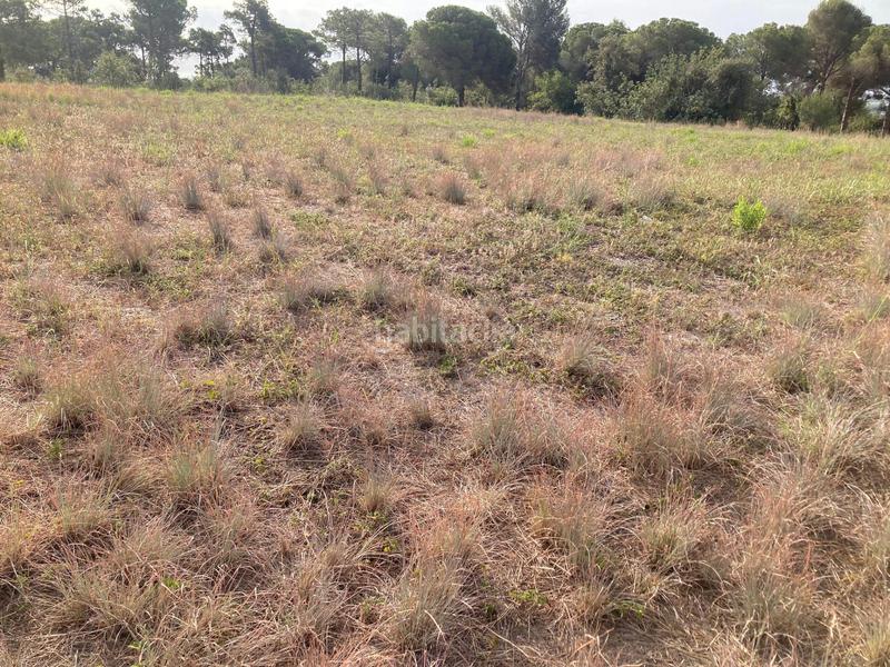 Foto e11b1fb6-aa8c-4860-8678-4162ffac4b9c. Landgut in Can Carreras - Montessol Pineda de Mar