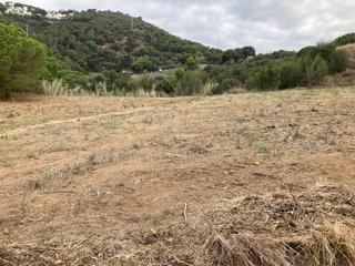 Propriété  Carrer onyar. Finca rústica con vista al mar en pineda de mar