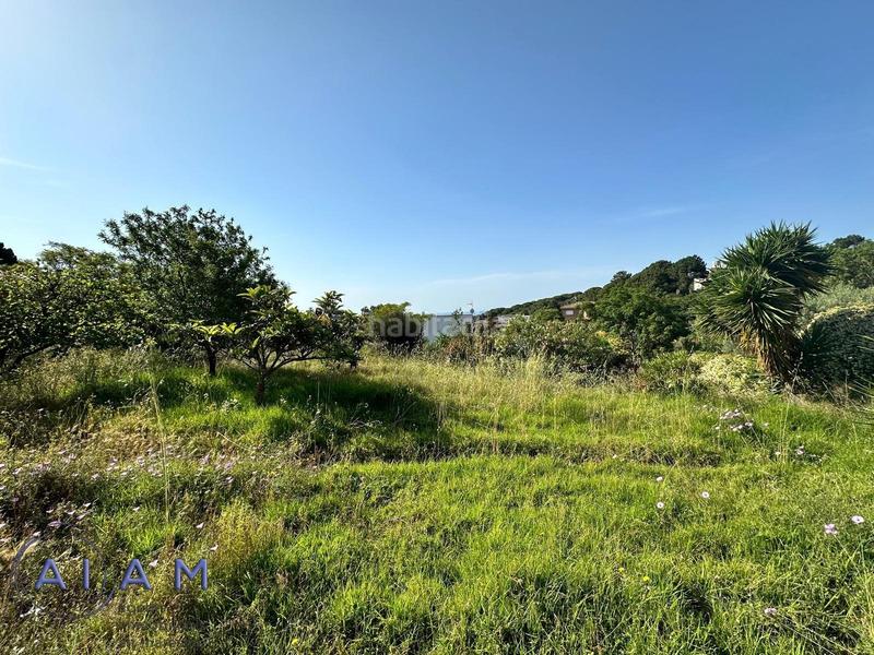 Foto d299a11d-646a-4d6a-9245-ef60d5703c50. Terrain résidentiel dans Urbanitzacions Sant Pol de Mar