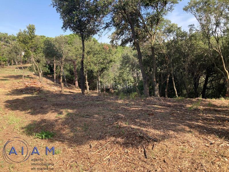 Foto f3c9e56c-8a4f-4b7f-857a-61a953df59e4. Terrain résidentiel dans Urbanitzacions Sant Pol de Mar