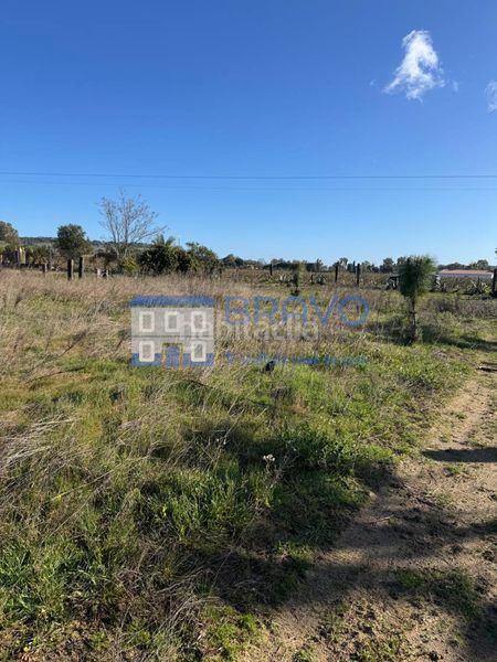 Foto 2d605957-9490-408e-881f-581ce46d55f9. Finca rústica a Villanueva de la Serena