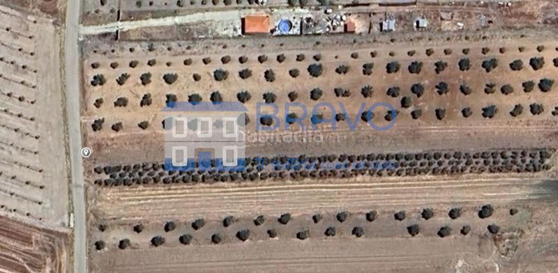Foto b255cefa-6263-406e-8e97-b75481d1d084. Finca rústica a Haba (La)