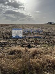 Landgut in Haba (La). Parcela rústica en venta en la haba