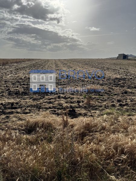 Foto 61fa9937-fa94-4ebd-ba7e-4e1da03a0a2f. Finca rústica a Haba (La)
