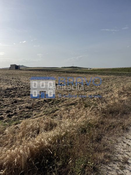 Foto 7f714e11-5880-4ad3-bc64-5c3eadf1e295. Finca rústica a Haba (La)