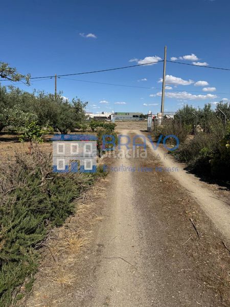 Foto 2a11a1ee-ded4-4a70-8405-c4536dfe9baf. Finca rústica a Don Benito