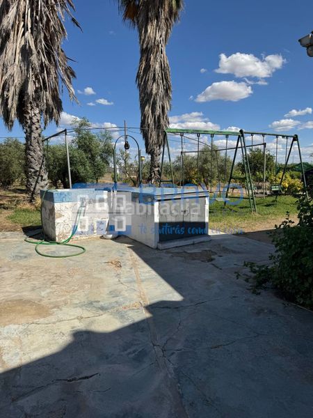 Foto 6976a9ff-cbc7-4e63-a6e6-a22eb09e5ae3. Finca rústica a Don Benito