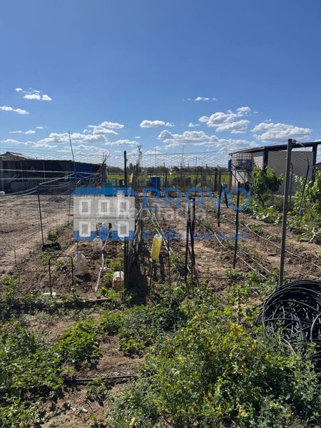 Foto b71a0b9b-e468-4938-9e2c-f1ec5f5bd3e9. Finca rústica a Don Benito