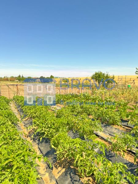 Foto d0014775-5392-481f-a845-60f5bcf8dffe. Finca rústica a Don Benito